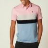 Next CHEST BLOCK STANDARD - Poloshirt - Pink Blue -Next 145cc7d2fbdf4b6c994ef92f22e75f65