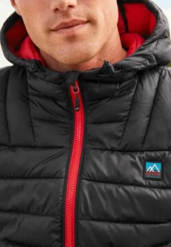 Next QUILTED - Winterjacke - Navy Blue Red
