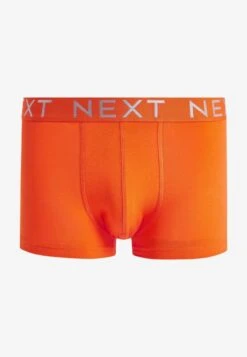 Next HIPSTER BOXERS 8 PACK STANDARD - Panties - Rainbow Silver Waistband -Next 37e780845459437eb91d12d7b1fdd1d4