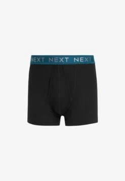 Next SIGNATURE A FRONTS FOUR PACK - Panties - Signature Textured Waistband Modal -Next 53d5715f4a5e460b9c8c1e1aaf62508f