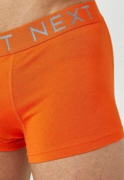 Next HIPSTER BOXERS 8 PACK STANDARD - Panties - Rainbow Silver Waistband -Next 8e7393396d5d41e2bbe439f7a8cf915b