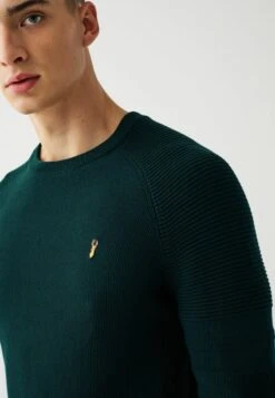 Next CREW NECK WITH ARM DETAIL - Strickpullover - Green -Next b8c082f961cb45c3a5c8b260978ec58d