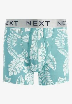Next A-FRONT 8 PACK - Panties - Blue Floral 13 Next A-FRONT 8 PACK - Panties - Blue Floral -Next f23d732db73f46cf8976aa9b56fff09c