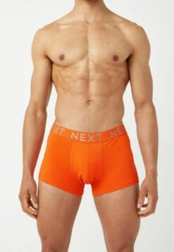 Next HIPSTER BOXERS 8 PACK STANDARD - Panties - Rainbow Silver Waistband -Next f3c4ec3b924e4818a4639911cbc2cf28 1